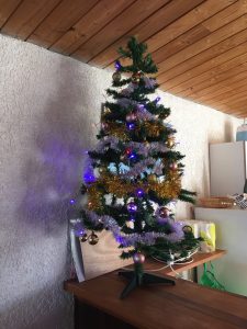sapin